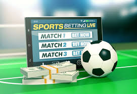 Explore Betwinner A Premier Betting Experience